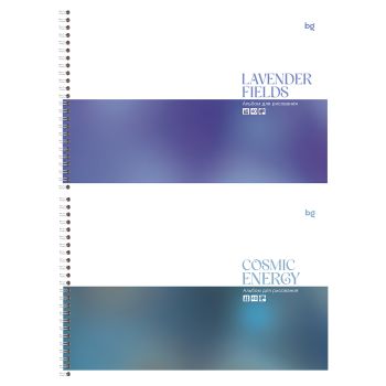 Альбом для рисования 40л., А4, на гребне BG 