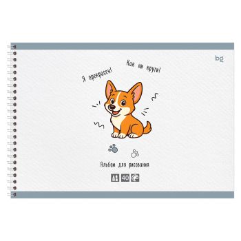 Альбом для рисования 40л., А4, на гребне BG 