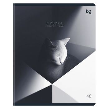 Тетрадь предметная 48л., BG 
