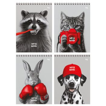 Блокнот А5 80л. на гребне BG 