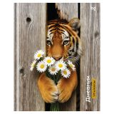 Дневник 1-11 кл. 40л. (твердый) BG "Тигр с цветами", матовая ламинация