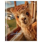 Дневник 1-11 кл. 48л. (твердый) BG "Альпака", глянцевая ламинация