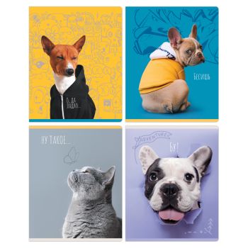 Тетрадь 96л., А5, линия BG 