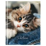 Дневник 1-11 кл. 48л. (твердый) BG "Мур", матовая ламинация