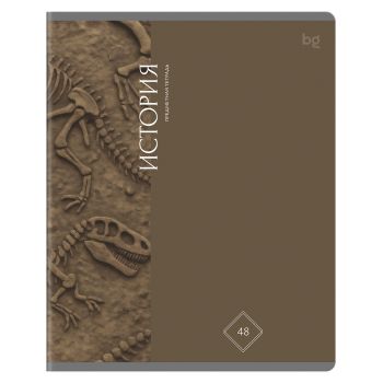 Тетрадь предметная 48л., BG 