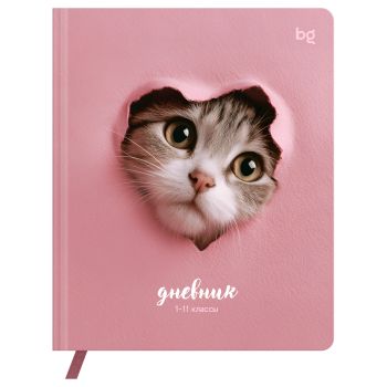 Дневник 1-11 кл. 48л. (твердый) BG 