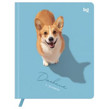 Дневник 1-11 кл. 48л. (твердый) BG 