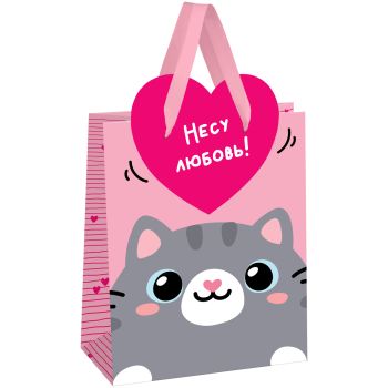 Пакет подарочный 18*23*10см MESHU 