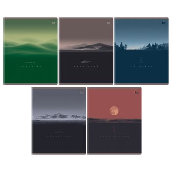 Тетрадь 80л., А5, клетка BG  