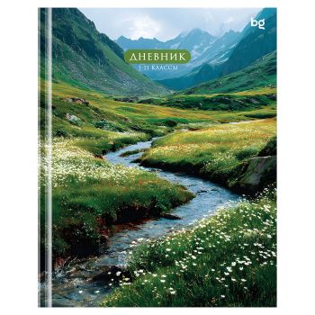 Дневник 1-11 кл. 48л. (твердый) BG 