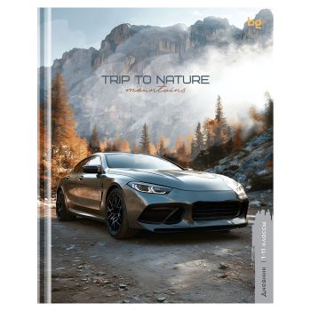 Дневник 1-11 кл. 48л. (твердый) BG 