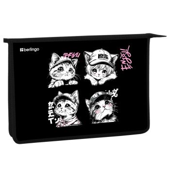 Папка для тетрадей 1 отделение, А4 Berlingo 