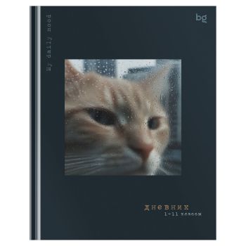 Дневник 1-11 кл. 48л. (твердый) BG 