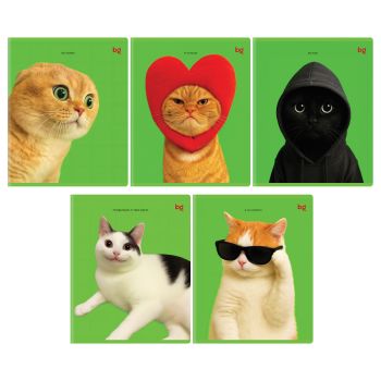 Тетрадь 48л., А5, клетка BG 