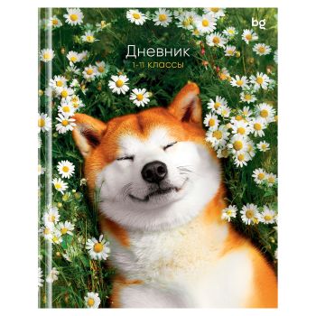 Дневник 1-11 кл. 40л. (твердый) BG 
