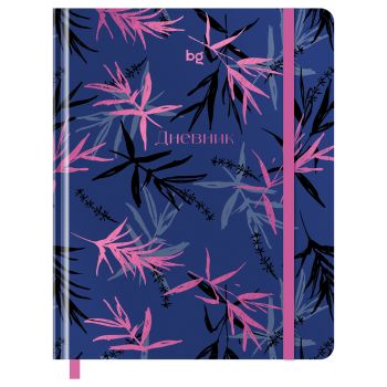 Дневник 1-11 кл. 48л. (твердый) BG 