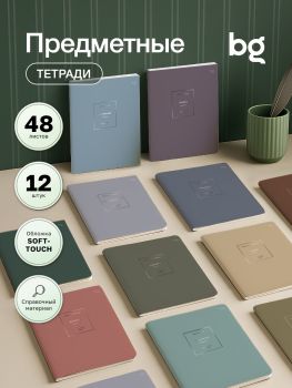 Комплект (12 шт.) предметных тетрадей 48л. BG 