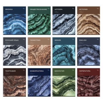 Комплект (12 шт.) предметных тетрадей 48л. BG 