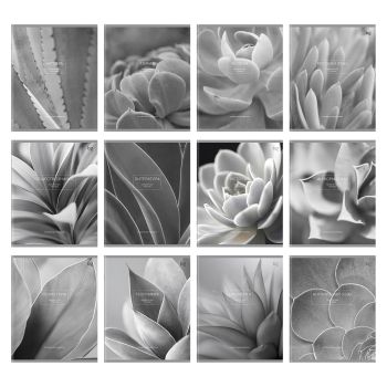 Комплект (12 шт.) предметных тетрадей 48л. BG 