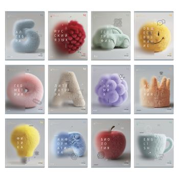 Комплект (12 шт.) предметных тетрадей 48л. BG 