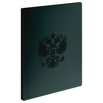 Папка с 20 вкладышами СТАММ 