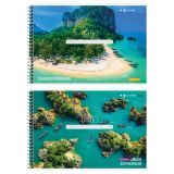 Альбом для рисования 40л., А4, на гребне BG "В сети"