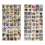 Набор наклеек ПВХ MESHU "Cats", 8,5*13 см., 100 наклеек инд. уп., европодвес