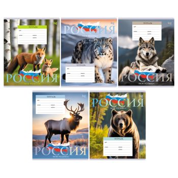 Тетрадь 18л., клетка BG 