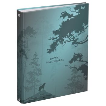 Тетрадь на кольцах А5, 120л., BG 