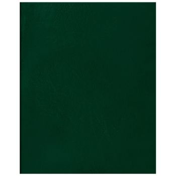 Тетрадь 96л., А5 клетка BG, бумвинил, зеленый, суперэконом