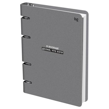 Тетрадь на кольцах А5, 120л., BG 