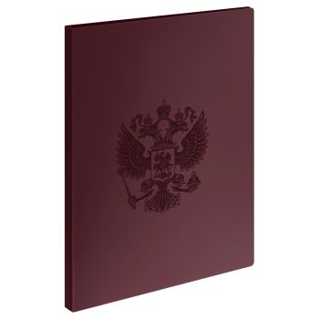 Папка с 20 вкладышами СТАММ 