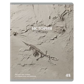 Тетрадь предметная 48л. BG 