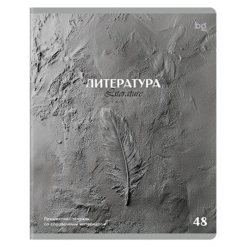 Тетрадь предметная 48л. BG 