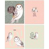 Тетрадь 48л., А5, клетка BG "Загадка", матовая ламинация