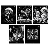 Тетрадь 48л., А5, клетка BG "Медуза", эконом