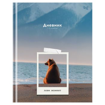 Дневник 1-11 кл. 40л. (твердый) BG 