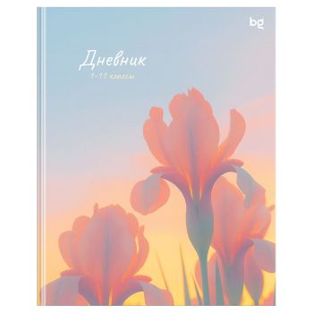 Дневник 1-11 кл. 48л. (ЛАЙТ) BG 